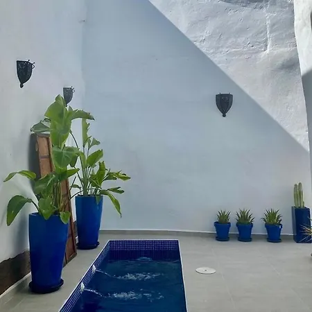 Zarcillo *